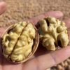 Xinjiang 185 paper walnut new goods bulk 500 g/bag thin shell original flavor pregnant women thin skin thin walnut wholesale