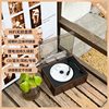 High-Quality Original Cd Player Album Player Universal Bluetooth Speaker Rechargeable All-In-One Player Full Set