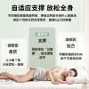 Dormitory Student Single Latex Mattress Cover Home Bedroom Tatami Mattress Pad Quilt Rental Special Soft Cushion