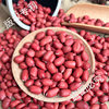 2024 New Red Skin Peanuts 2.5kg Pack Original Flavor Four Red Raw Peanuts with Shells Red Skin Peanuts in Bulk