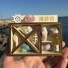 Natural Conch Shell Refrigerator Stickers Souvenir Features DIY Wenchuang Seaside Gift Jewelry Crafts Mediterranean