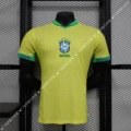 Player: New Brazilian Master