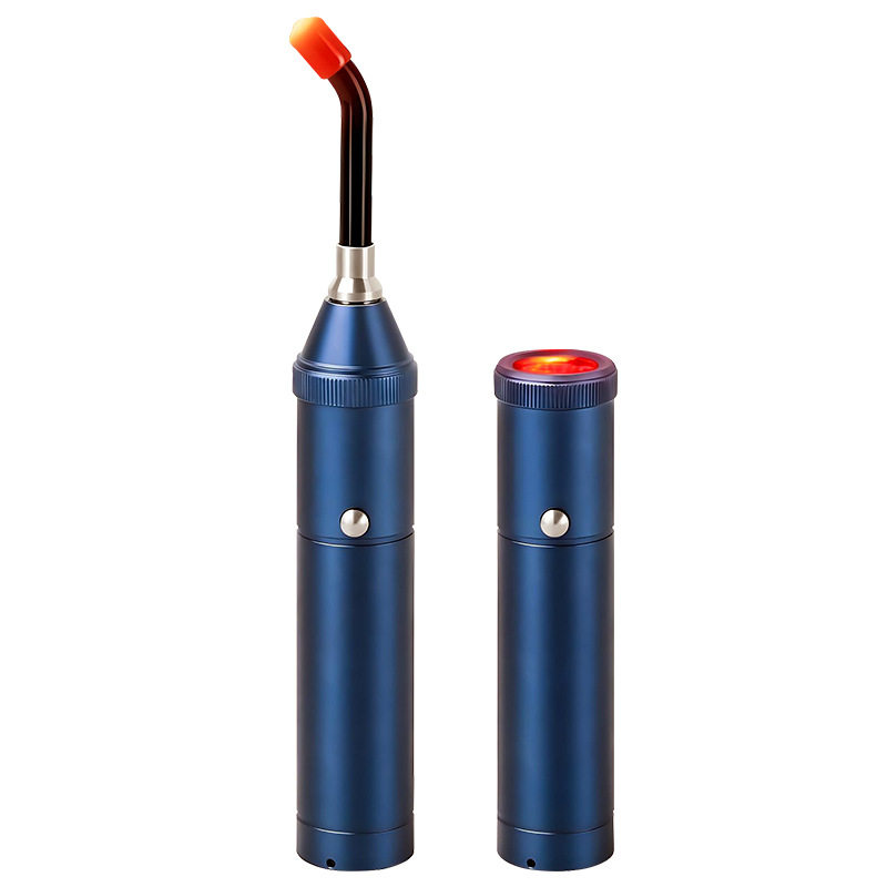 Cross-Border Direct Supply of Popular Nose and Ear Canal Soothing Lip and Oral Instrument, Blue Light Handheld Multi-Functional Red Light Flashlight