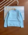 Blue sweatshirt