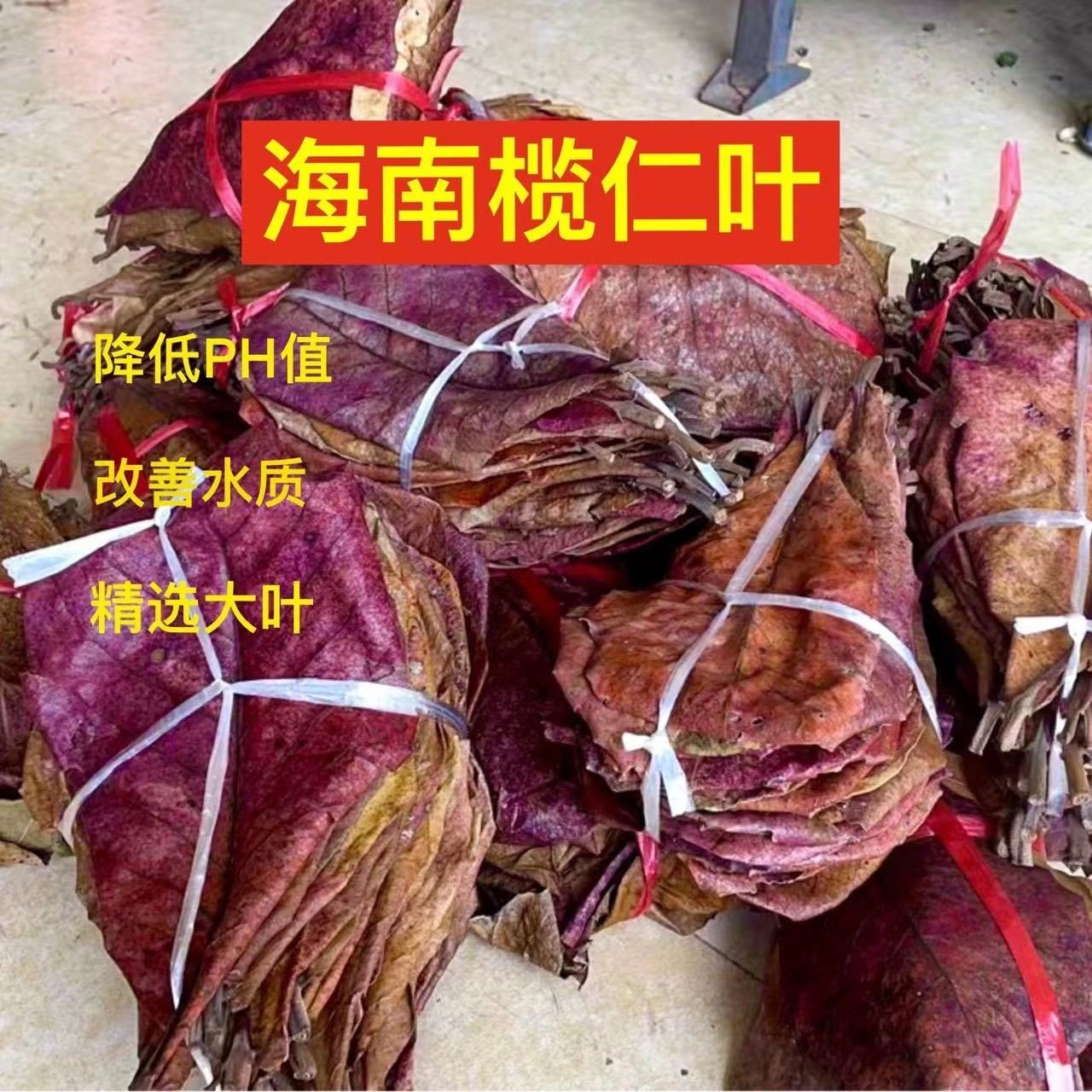 Natural olive leaf lazy leaf natural antibacterial softening water quality and water quality improvement pH value Douyu turtle tropical fish