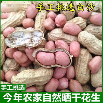 New 2025 Fresh Raw Peanuts in Shells, Sun-Dried, Shelled Peanuts, Small White Kernels, Wedding Selection Peanuts 100g