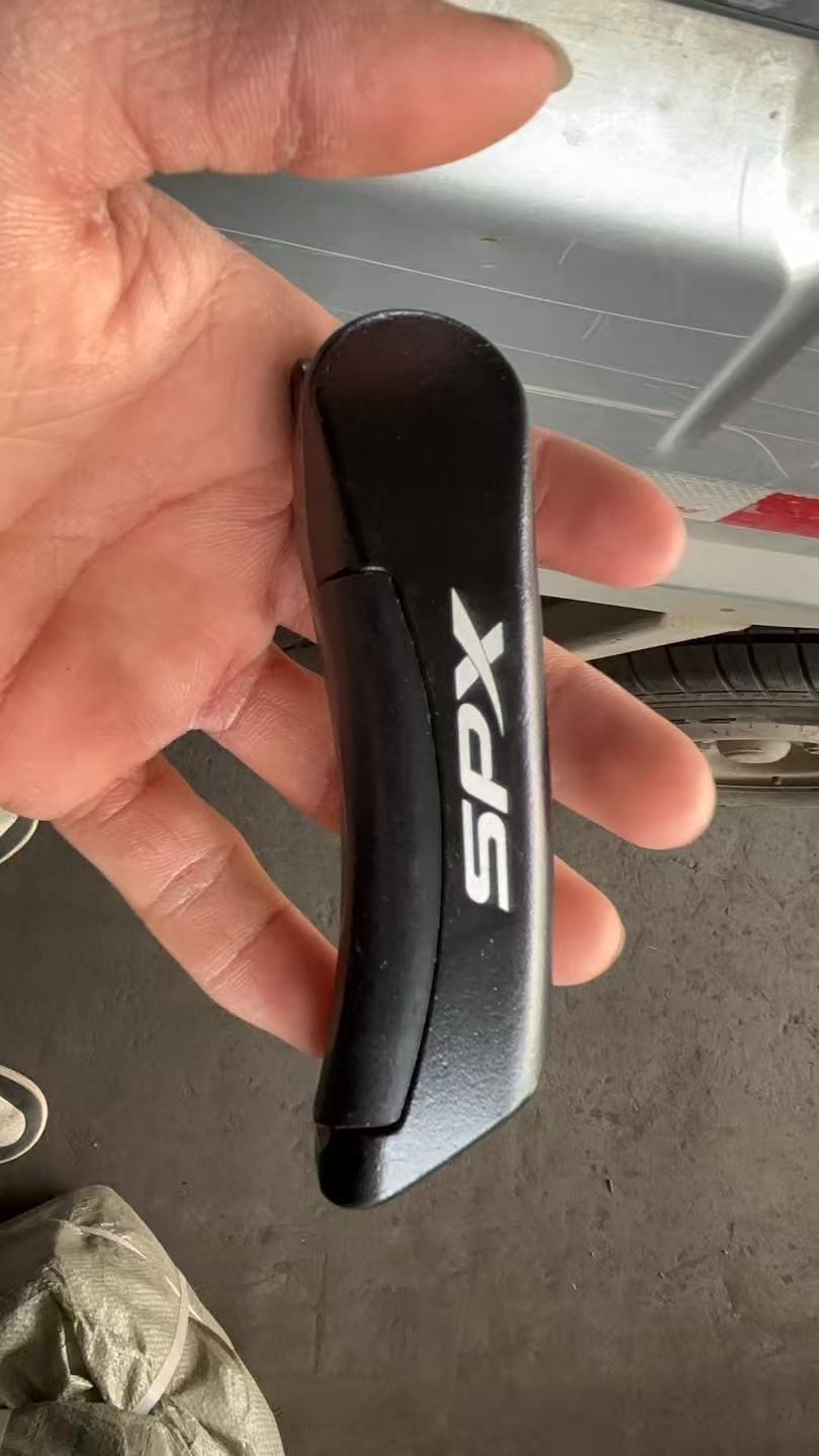 XDS ロゴ (スタイル 1)