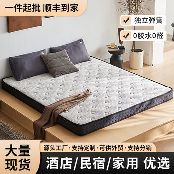 Wholesale Hotel Mattress B&B Soft and Hard Dual-Purpose Thin Mattress Home Bedroom Soft Mattress Rental Dormitory Mattress