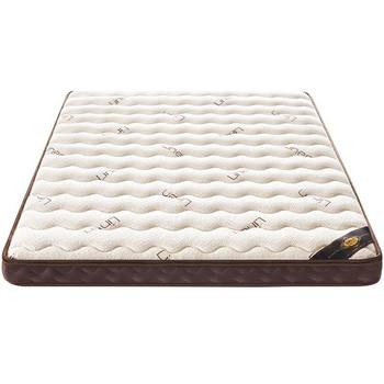 Champs Elysees Natural Coconut Palm Mattress Home Bedroom Spine Protection Hard Mat Latex Kidsren's Mat Tatami Customization