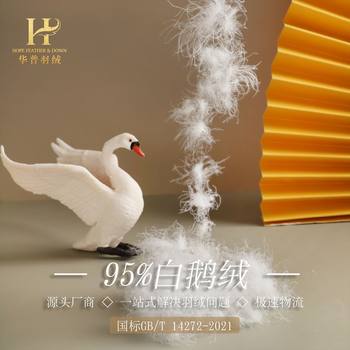 Down Factory Direct Sales Washed National Standard 95 White Goose down down Clothing Standard National Inspection Fluffy Filling down Wholesale