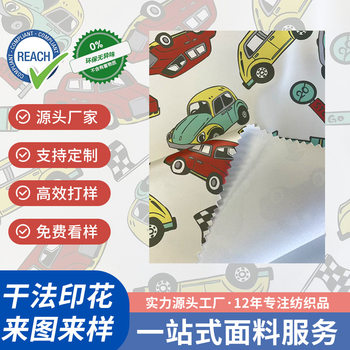 Pu Dry Pearlescent Digital Printing Fabric Cartoon Car Clothing Climbing Mat Fabric Matte Artificial Leather Customization
