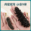 Selected Black Thorns Light Dried Sea Cucumber Wholesale American Dragon Pattern Ginseng 45 Threaded Ginseng Seafood Dry Goods Ready for Supply