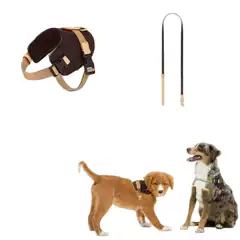 Light Luxury Cat and Dog Harness Leash with Poop Bag Holder, Trendy Brand Collar, Vest-Style Wearable Fashionable Pet Supplies