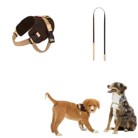 Light Luxury Cat and Dog Harness Leash with Poop Bag Holder, Trendy Brand Collar, Vest-Style Wearable Fashionable Pet Supplies