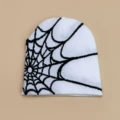 White and Black (spider web)