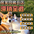 seller product image