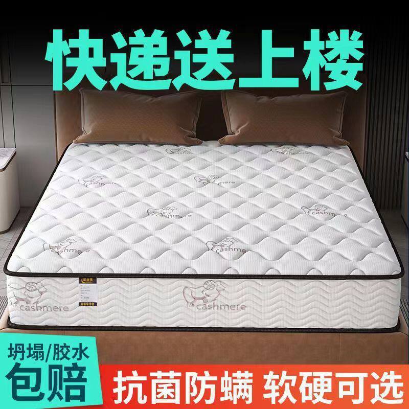 Simmons Mattress Economical 20cm Thick Household Spring Latex Coconut Palm Soft and Hard Dual-Use Silk Flower Whole Mesh Spring-Free