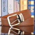Brown belt copper buckle