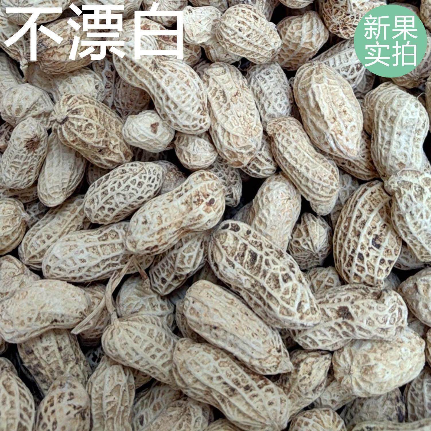 Salted Dried Boiled Peanuts, Sun-Dried Original Flavor, White Sun-Dried Salty Sun-Dried Shelled Peanuts, Non-Irritating Guanglongyan Peanut Snacks