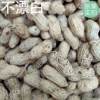 Salted Dried Boiled Peanuts, Sun-Dried Original Flavor, White Sun-Dried Salty Sun-Dried Shelled Peanuts, Non-Irritating Guanglongyan Peanut Snacks