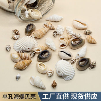100g Natural Single Hole Conch Shell Mixed Punched Gold Edge Snail DIY Handmade Decorative Fish Tank White Shell Accessories