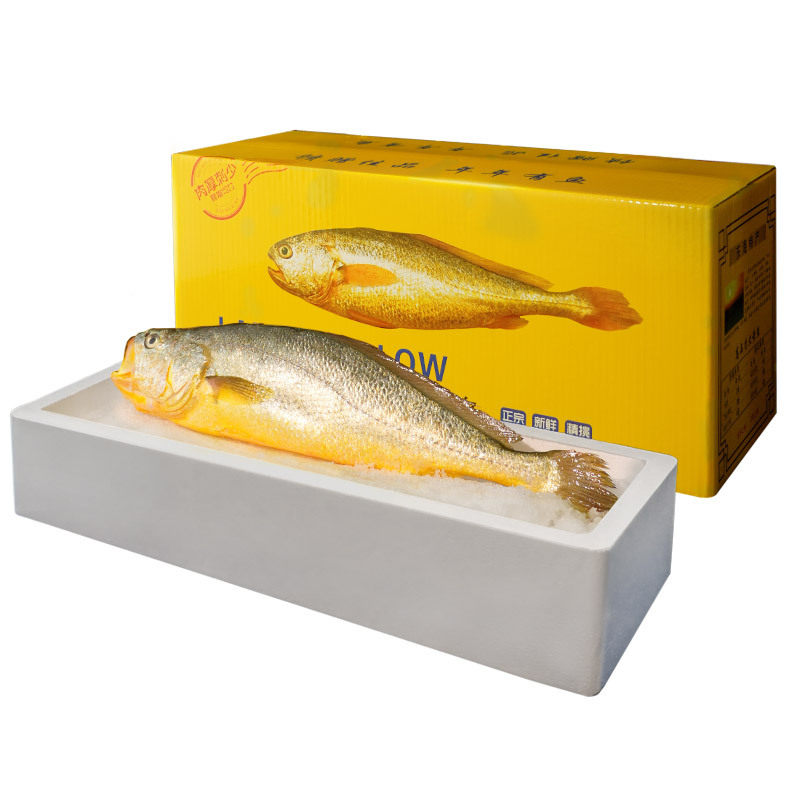 Zhenhai Large Yellow Croaker Gift Box, Deep-Sea Small Yellow Croaker, Fresh Frozen Seafood, Semi-Wild Aquatic Product for Commercial Use