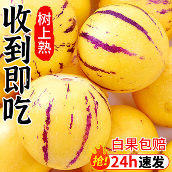 Hot-Selling Yunnan Shilin Ginseng Fruit 10 Fresh Seasonal Fruits Colorful Whole Box Ginseng Yellow Flesh Ginseng