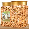 Brazilian Pine Nuts Hand-Peeled Long-Grain 500g New Arrival 2025 Flagship Store Specialty Grade Large-Grain Snacks Afghan Nuts
