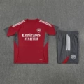 2526 short sleeve arsenal red [available in xs]
