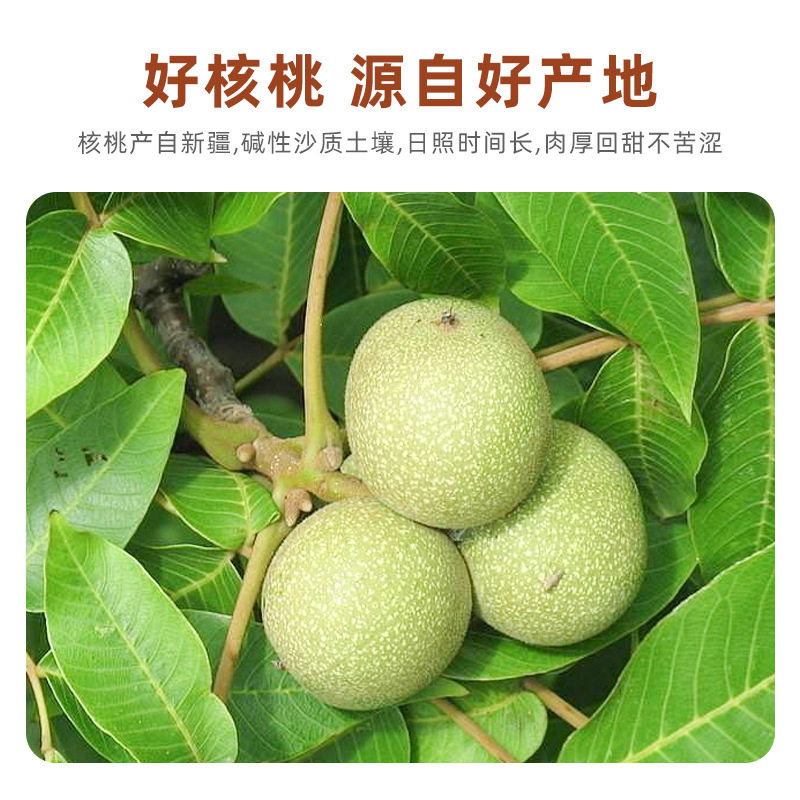 2025 Xinjiang Jianpu White Head Road Walnut Kernels Peeled 500g Thin Skin Original Flavor Vacuum Large Nut Walnut Kernels
