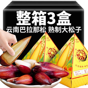 Parana Pine Nuts Yunnan Specialty New Large Nuts Dried Fruits Thumb-Sized Pine Nuts Original Flavor Cooked Pine Nut Balls