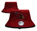 Cardinals 1 Cardinals