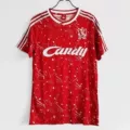 Liverpool home stadium in 1989-91 season