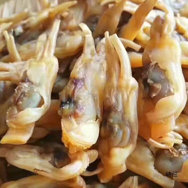 Raw and Sun-Dried Razor Clams, Dried Seafood, Large Fresh, Sand-Free and Light-Dried Fujian-Made 500g Shengzi Dried Large Razor Clams