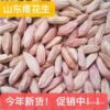 25 Years New Stock Shandong Small Peanuts Raw Stomach-Friendly Peanuts Raw Sweet Slim Long Grain Small Peanuts Raw Peanuts