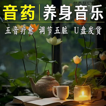 Meditation and Health Care Light Music USB Flash Drive Lossless High-Quality Chinese Music Five-Tone Master Beauty Salon Tea Room Soothing and Relaxing USB