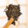 Юньнаньская чайная фабрика Tea Tree King Tea Factory Tea Pu'er Tea Pu'er Raw Tea Mint Pond, 357 г, Чай Пуэр с сырым тортом, Чай Пуэр mini 3