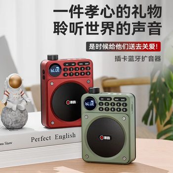 Langyun C65 Bluetooth Radio High Volume Card Plug-In Outdoor Multi-Function Portable Player Amplifier for the Elderly