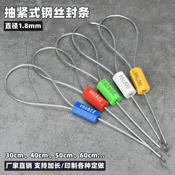 Disposable Tightening Wire Seal Container Coal Tanker Truck Seal Anti-Theft Seal Container Lead Seal Tie