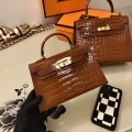 Gold buckle-brown