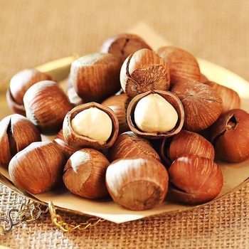 Oem Northeast Tieling Hazelnut Original Flavor Large Kernels 2025 New Arrival Nuts New Year Snacks Wholesale Northeast Hazelnut
