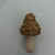 Указал верблюд кукуруза оплетки гриб