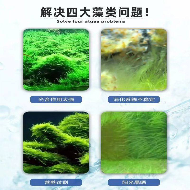 Algae Removal Powder Fish Tank Algae Remover for Koi Fish Pond to Remove Moss and Algae, Purify Water Quality, Specifically for Aquarium Green Algae
