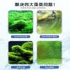 Algae Removal Powder Fish Tank Algae Remover for Koi Fish Pond to Remove Moss and Algae, Purify Water Quality, Specifically for Aquarium Green Algae