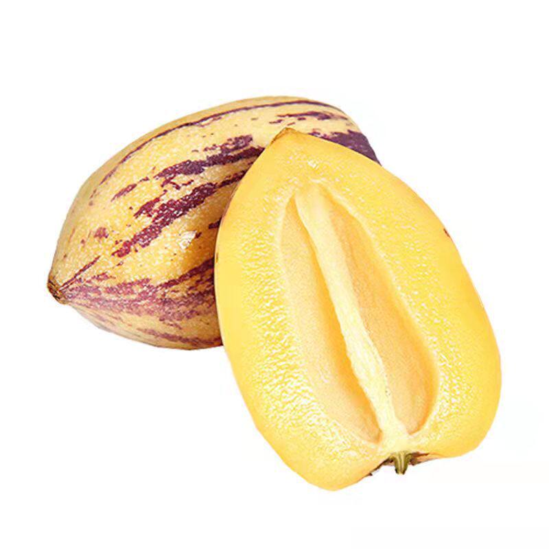 Gansu Minqin Ginseng Fruit, Seasonal Fruit Ginseng Fruit, Whole Piece Free Shipping, Sweet and Juicy Ginseng Fruit, One Piece Drop Shipping