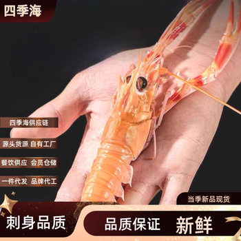 201 Sashimi Shrimp Seafood Platter Ice Plate Japanese Cuisine Fresh Wholesale Sashimi Shrimp Sweet Shrimp Red Magic