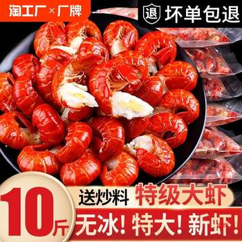 Frozen Fresh Lobster Tails, Large Fresh Live Crayfish Tails Without Ice Coating, Commercial Fresh Frozen Wholesale Fresh Aquatic Products