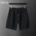 29091 black