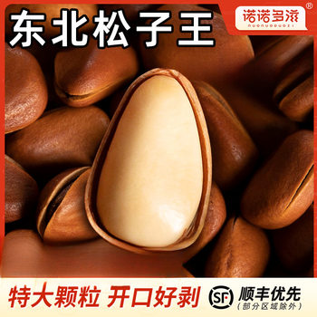 Northeast Pine Nuts 2025 New Arrival Non-Extra Large Particle Open Red Pine Nut Specialty