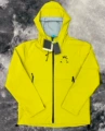 Y03 lemon yellow kail d
